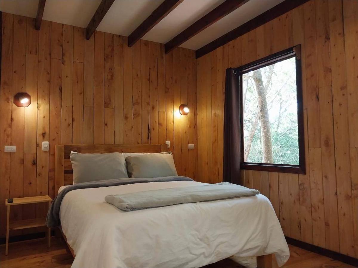 Curuba Lodge Copey Eksteriør billede