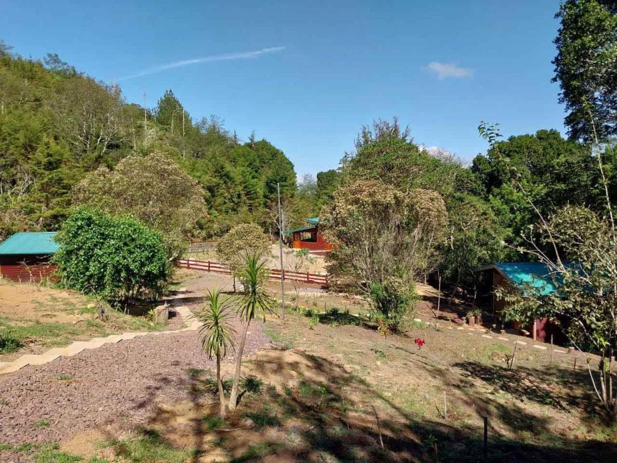 Curuba Lodge Copey Eksteriør billede
