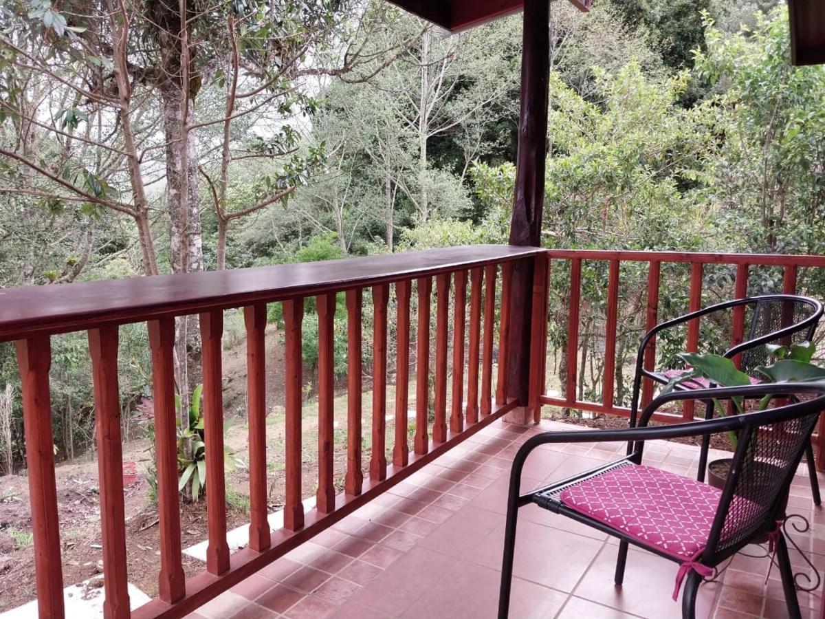 Curuba Lodge Copey Eksteriør billede