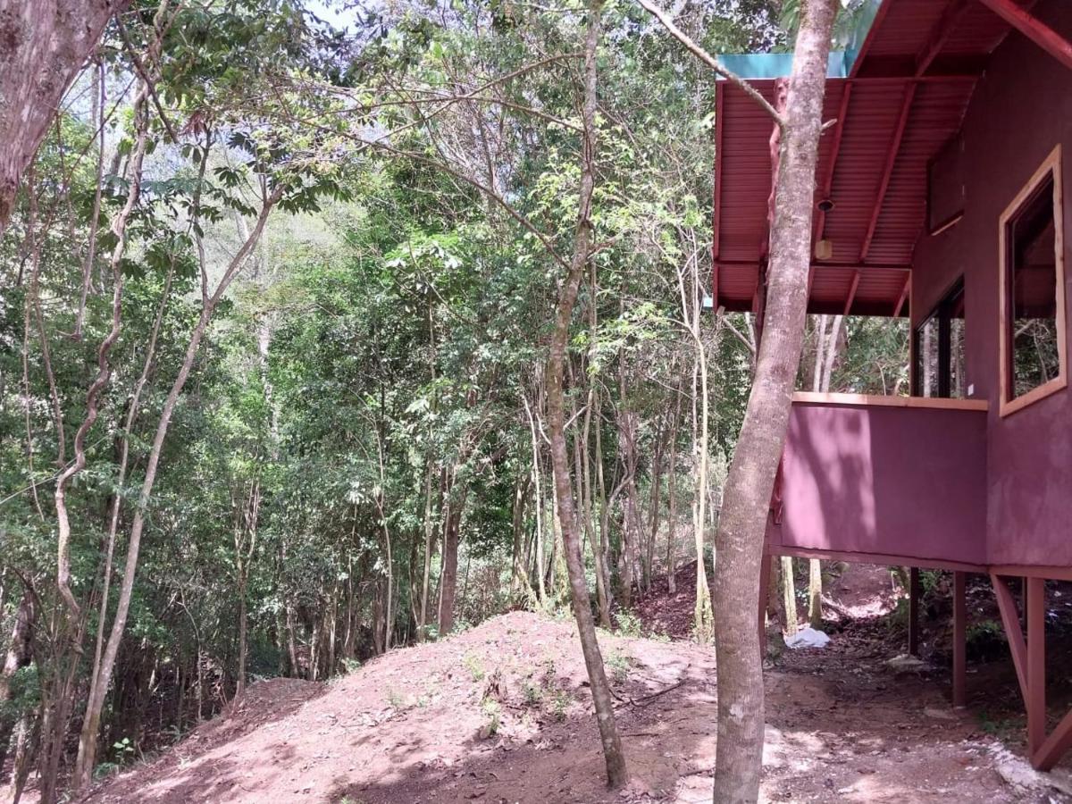 Curuba Lodge Copey Eksteriør billede