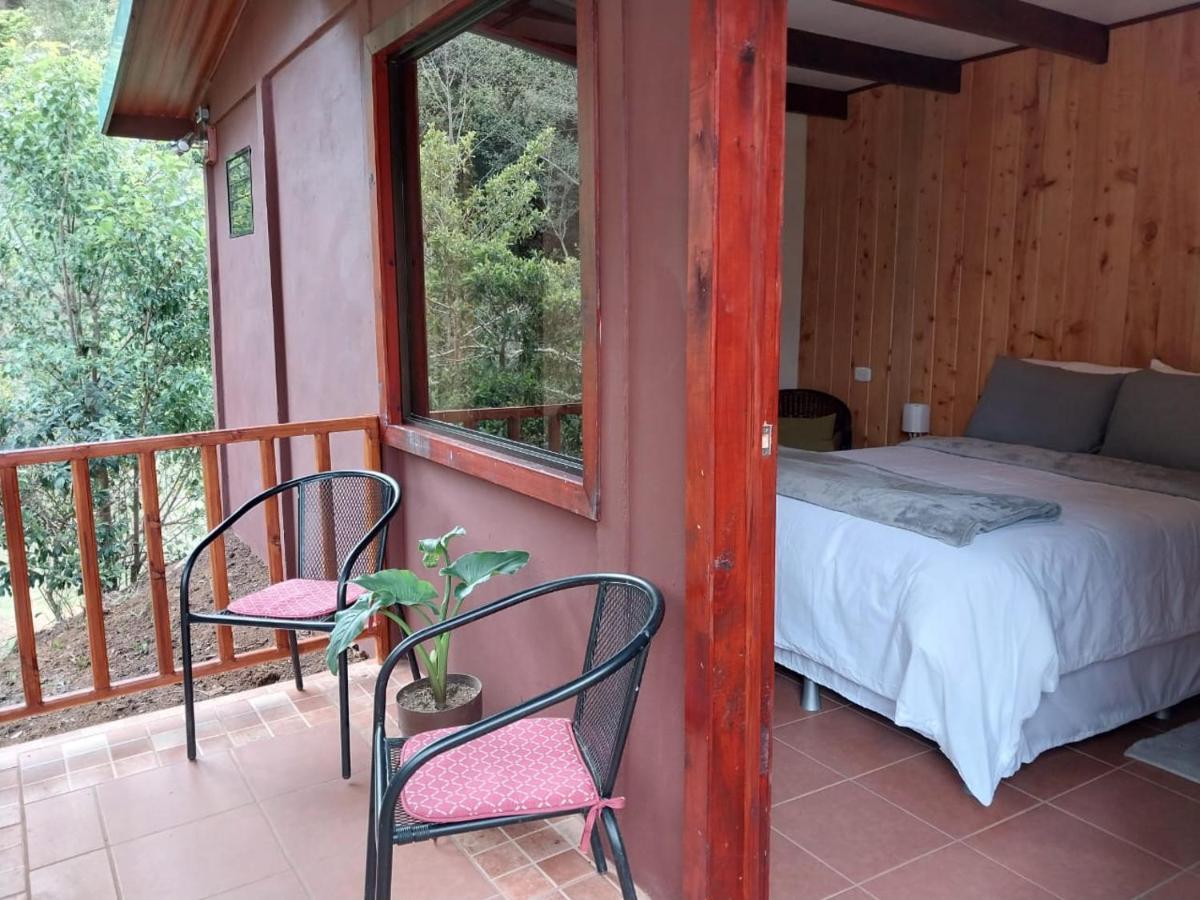Curuba Lodge Copey Eksteriør billede