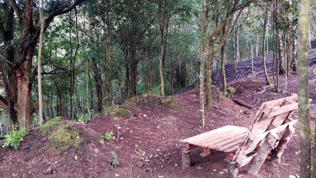 Curuba Lodge Copey Eksteriør billede