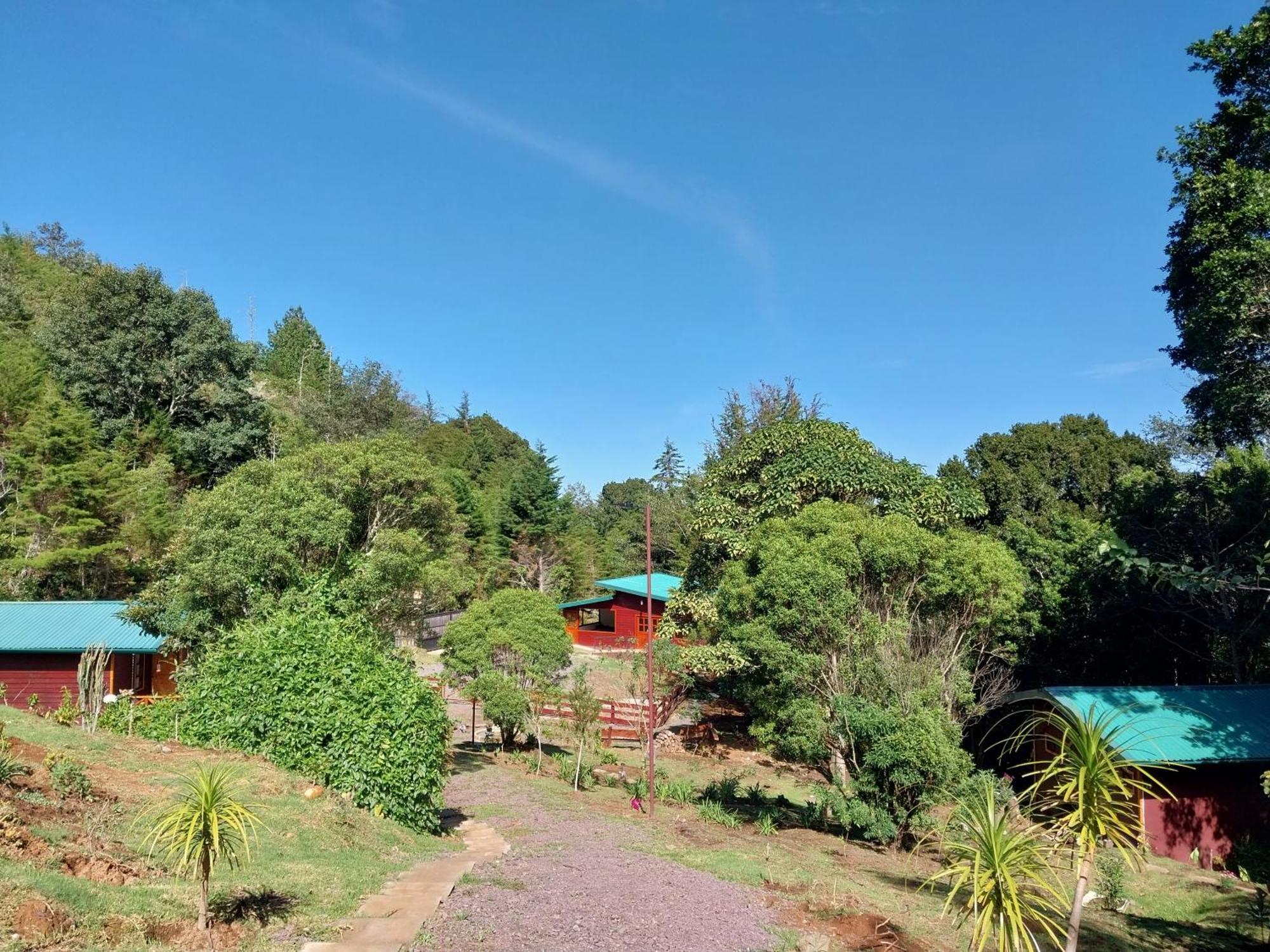 Curuba Lodge Copey Eksteriør billede
