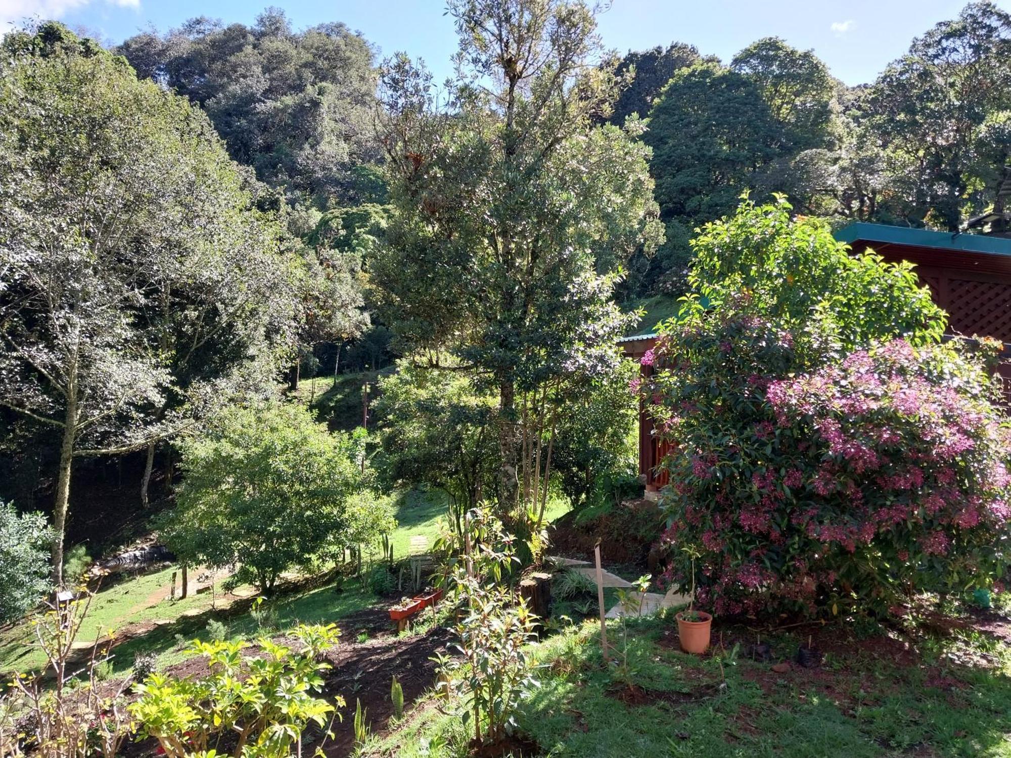Curuba Lodge Copey Eksteriør billede