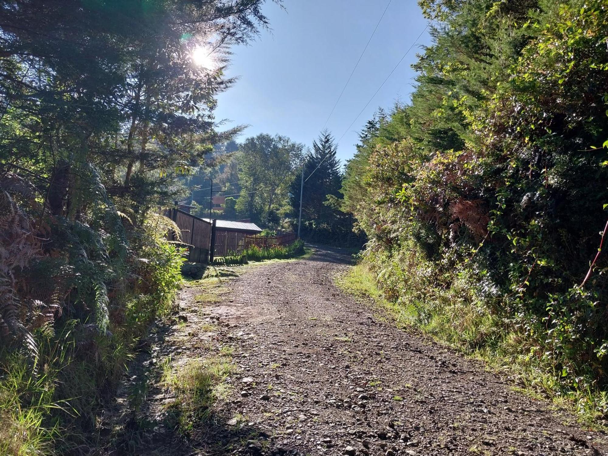 Curuba Lodge Copey Eksteriør billede