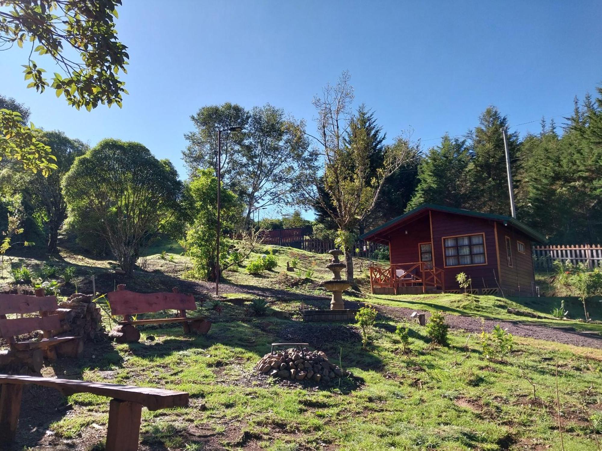 Curuba Lodge Copey Eksteriør billede