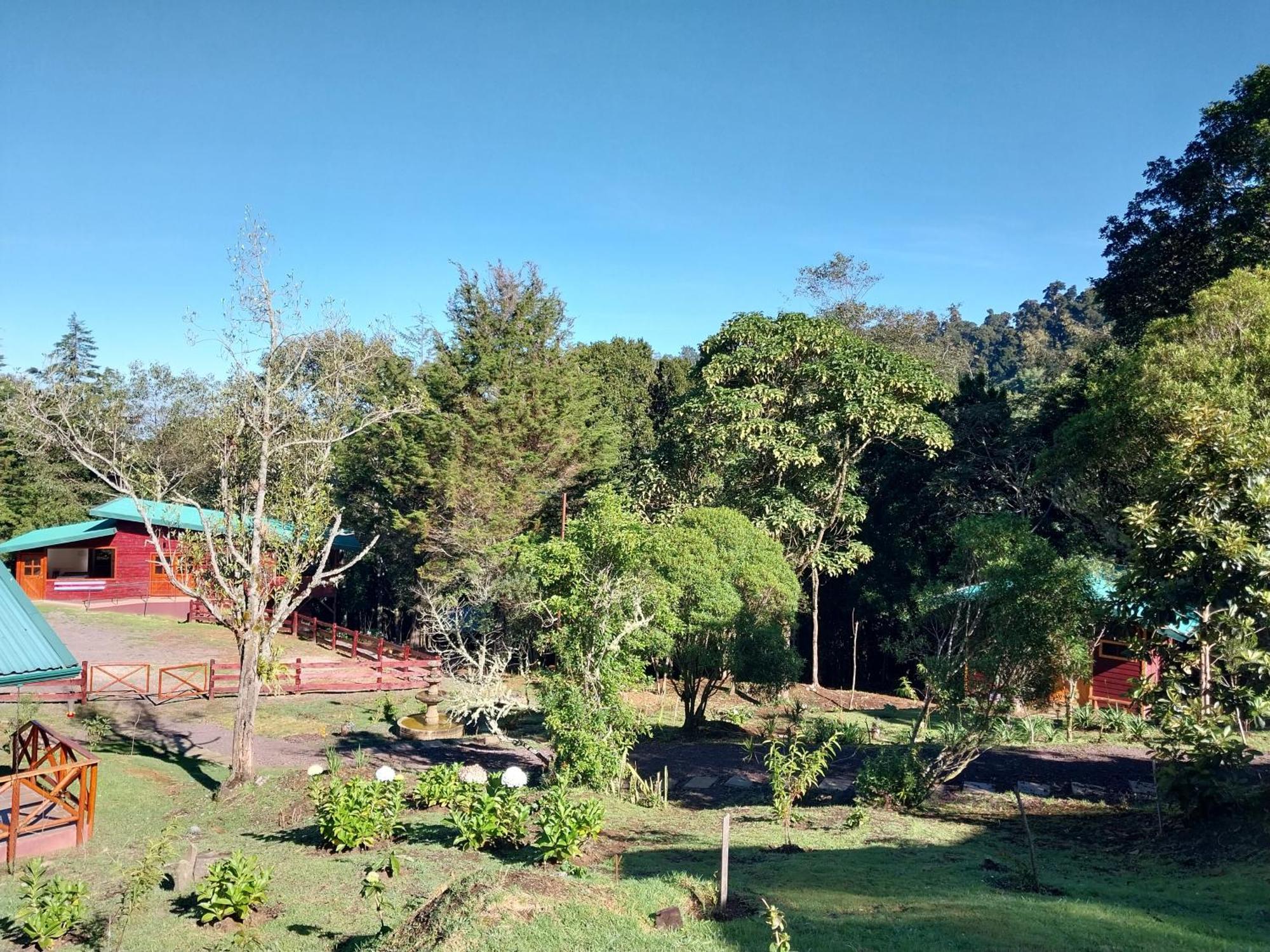 Curuba Lodge Copey Eksteriør billede
