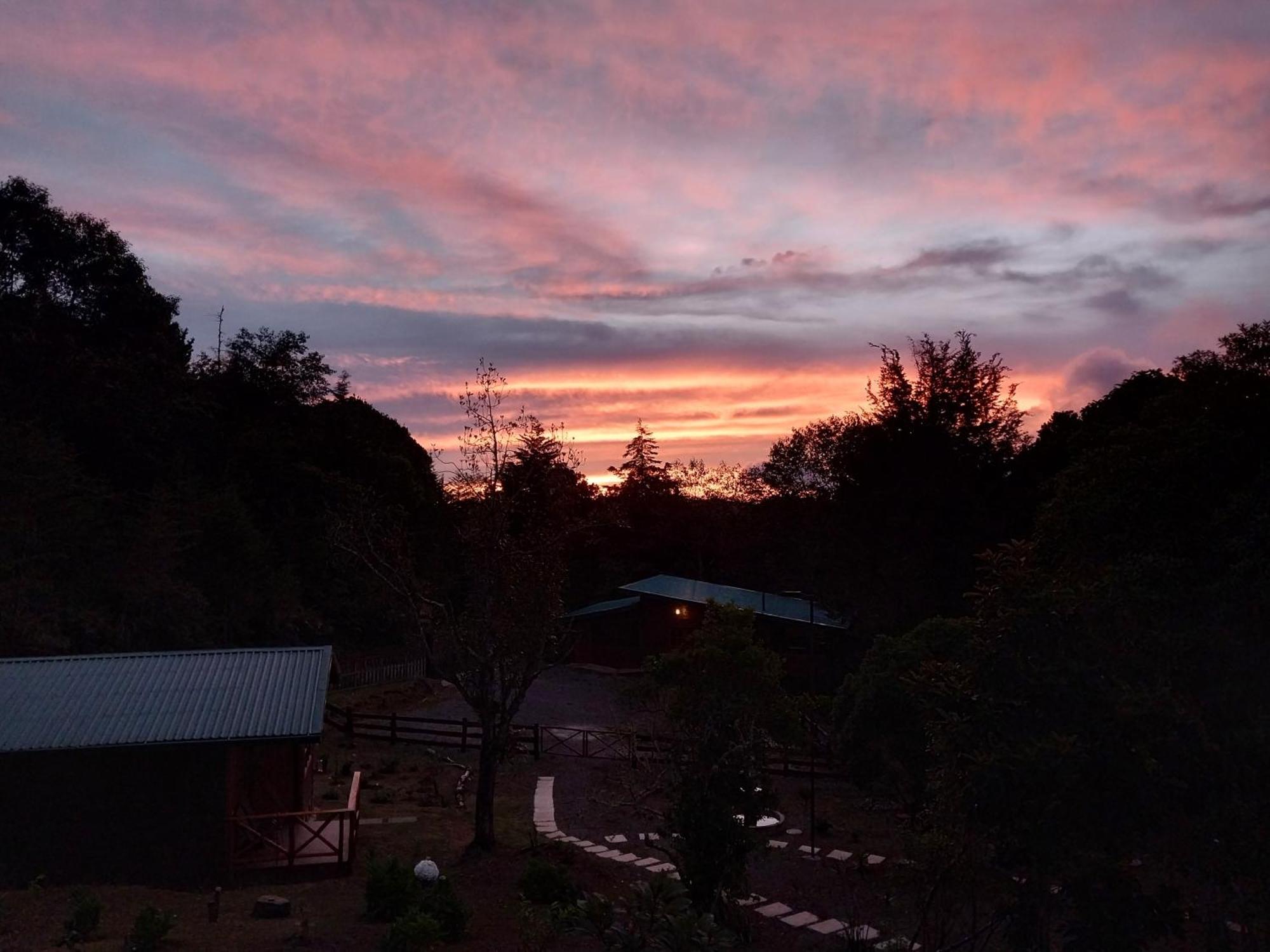 Curuba Lodge Copey Eksteriør billede