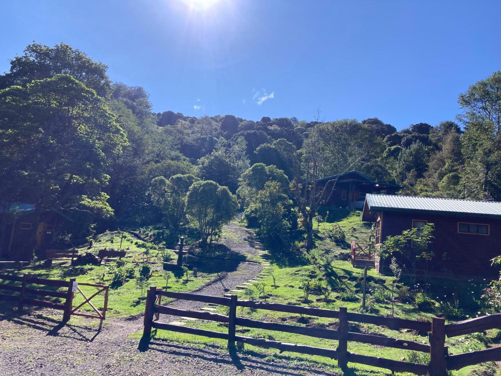 Curuba Lodge Copey Eksteriør billede