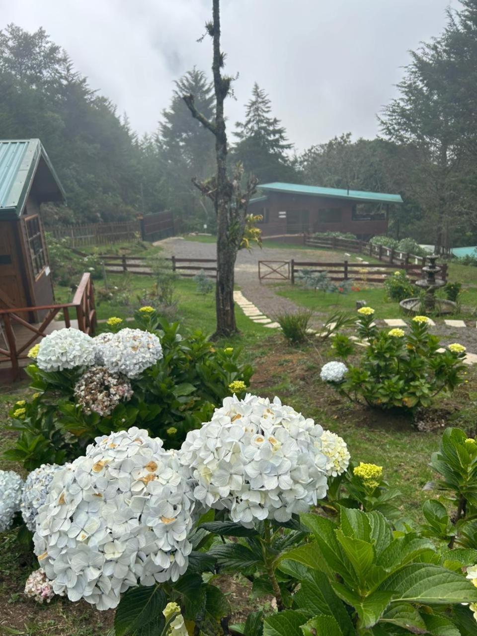 Curuba Lodge Copey Eksteriør billede