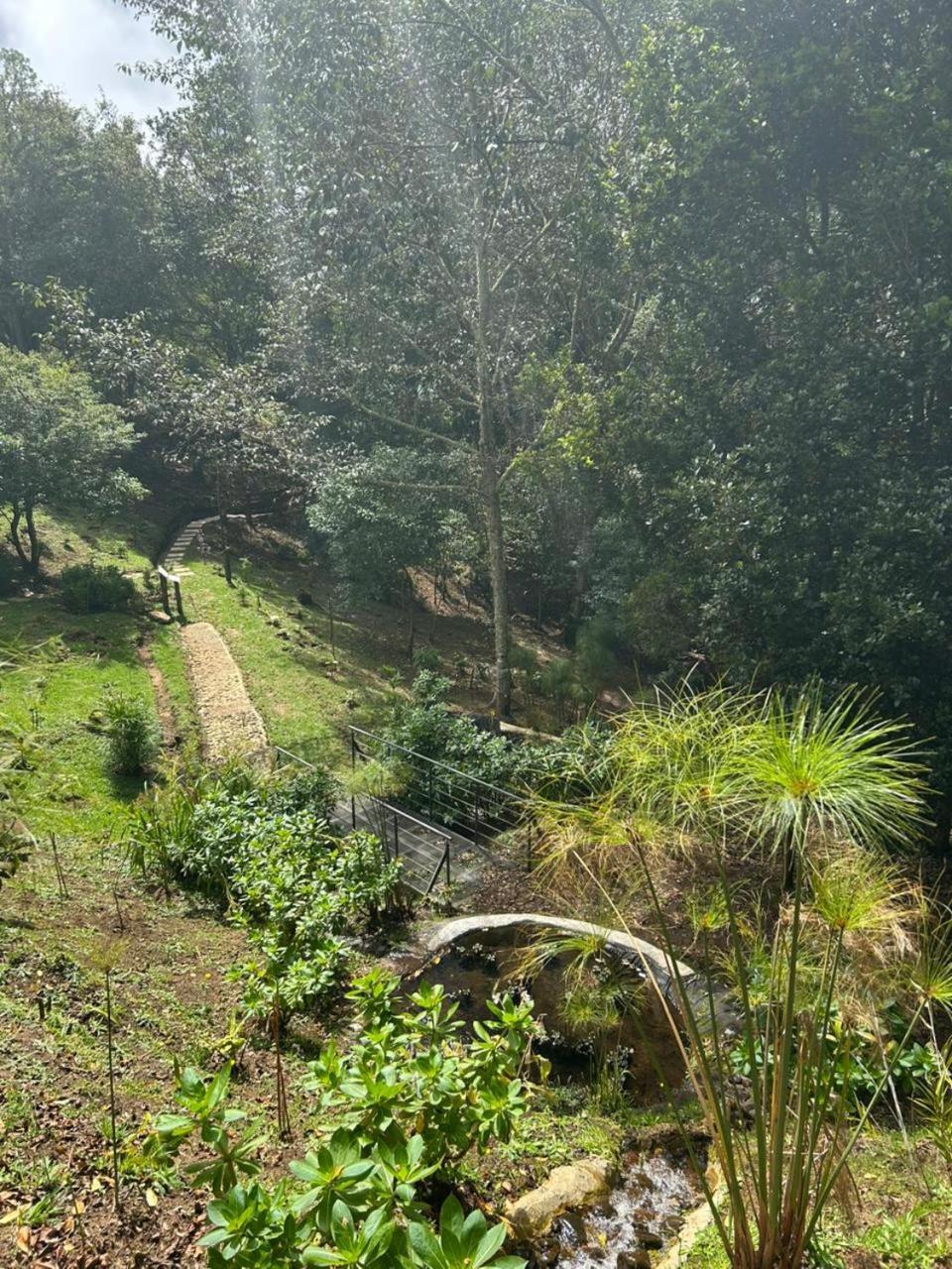 Curuba Lodge Copey Eksteriør billede