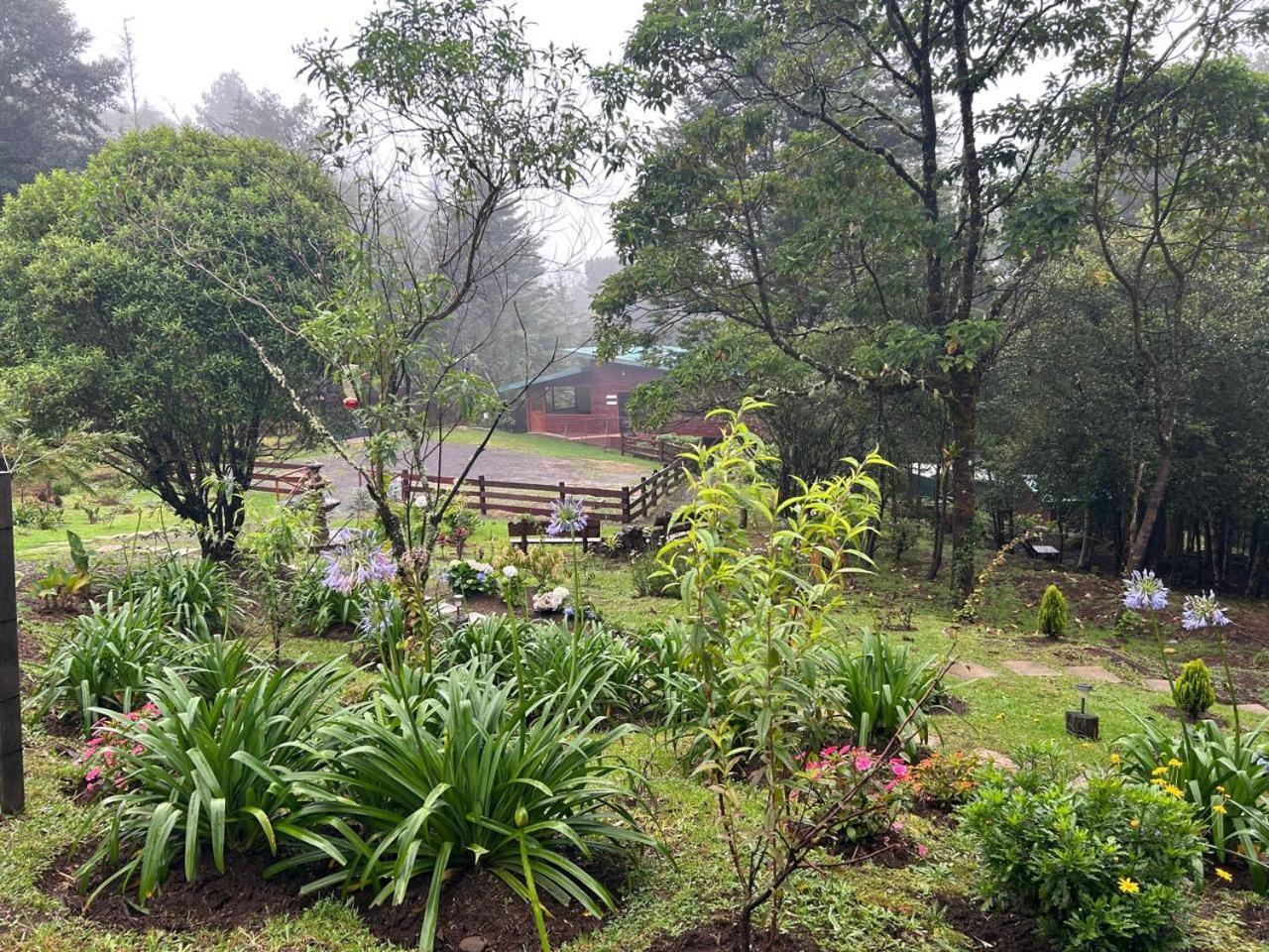 Curuba Lodge Copey Eksteriør billede