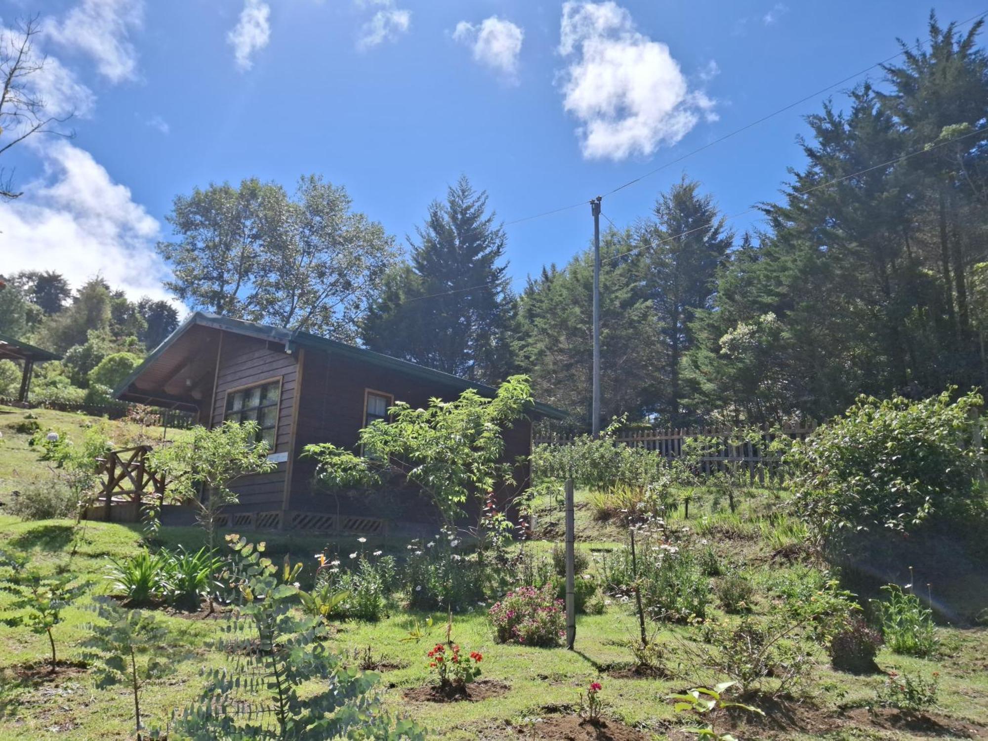 Curuba Lodge Copey Eksteriør billede