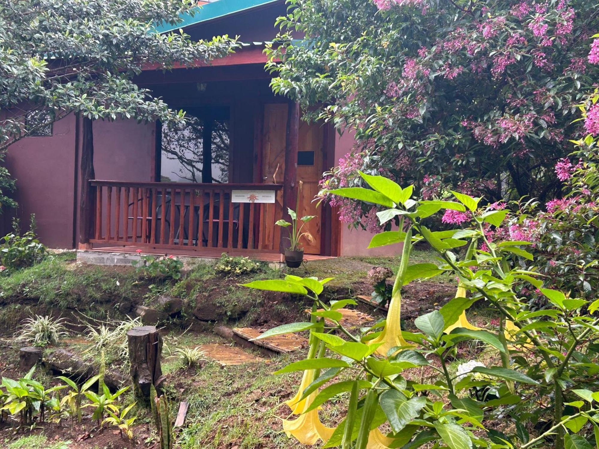Curuba Lodge Copey Eksteriør billede