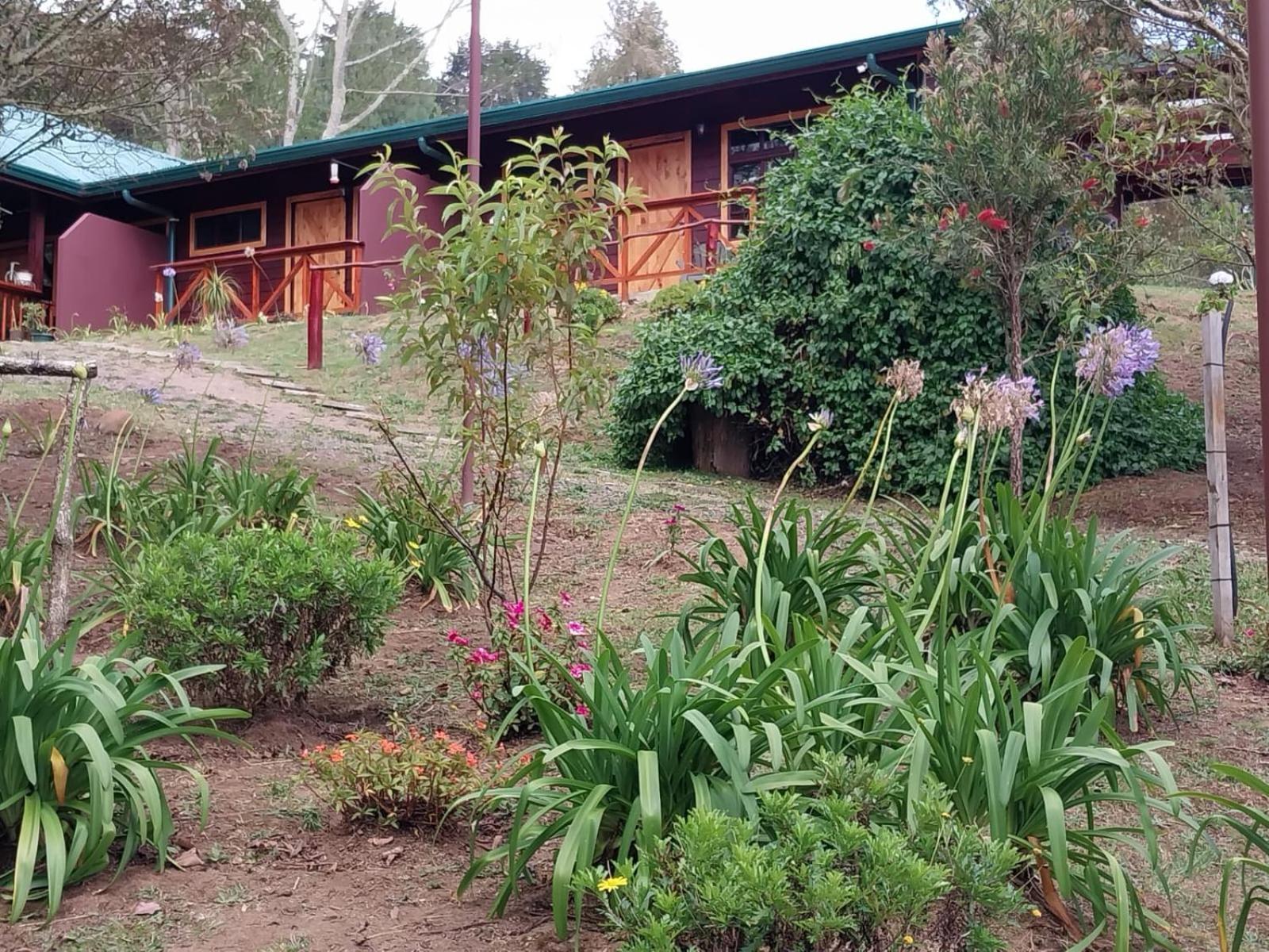 Curuba Lodge Copey Eksteriør billede