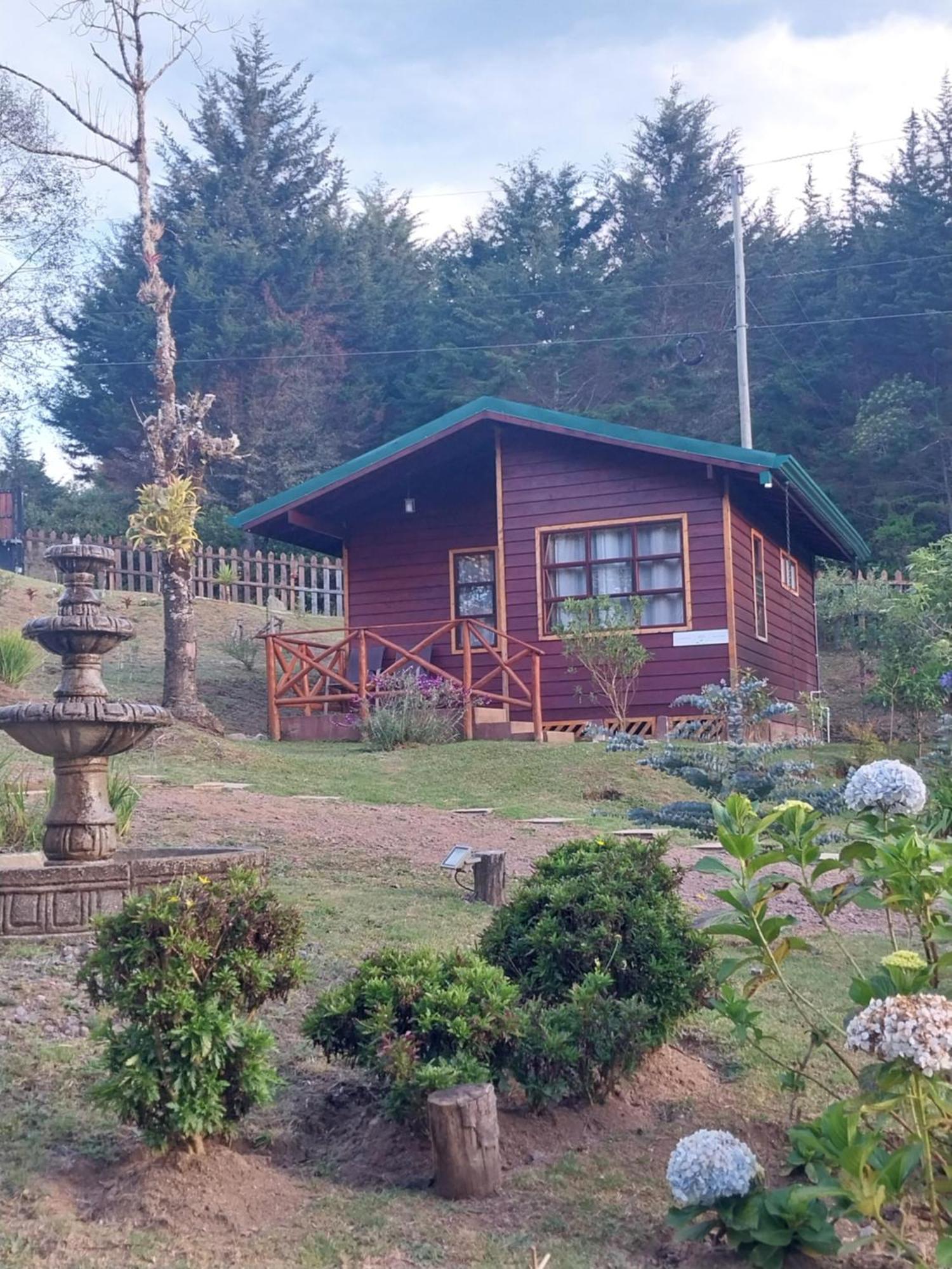 Curuba Lodge Copey Eksteriør billede