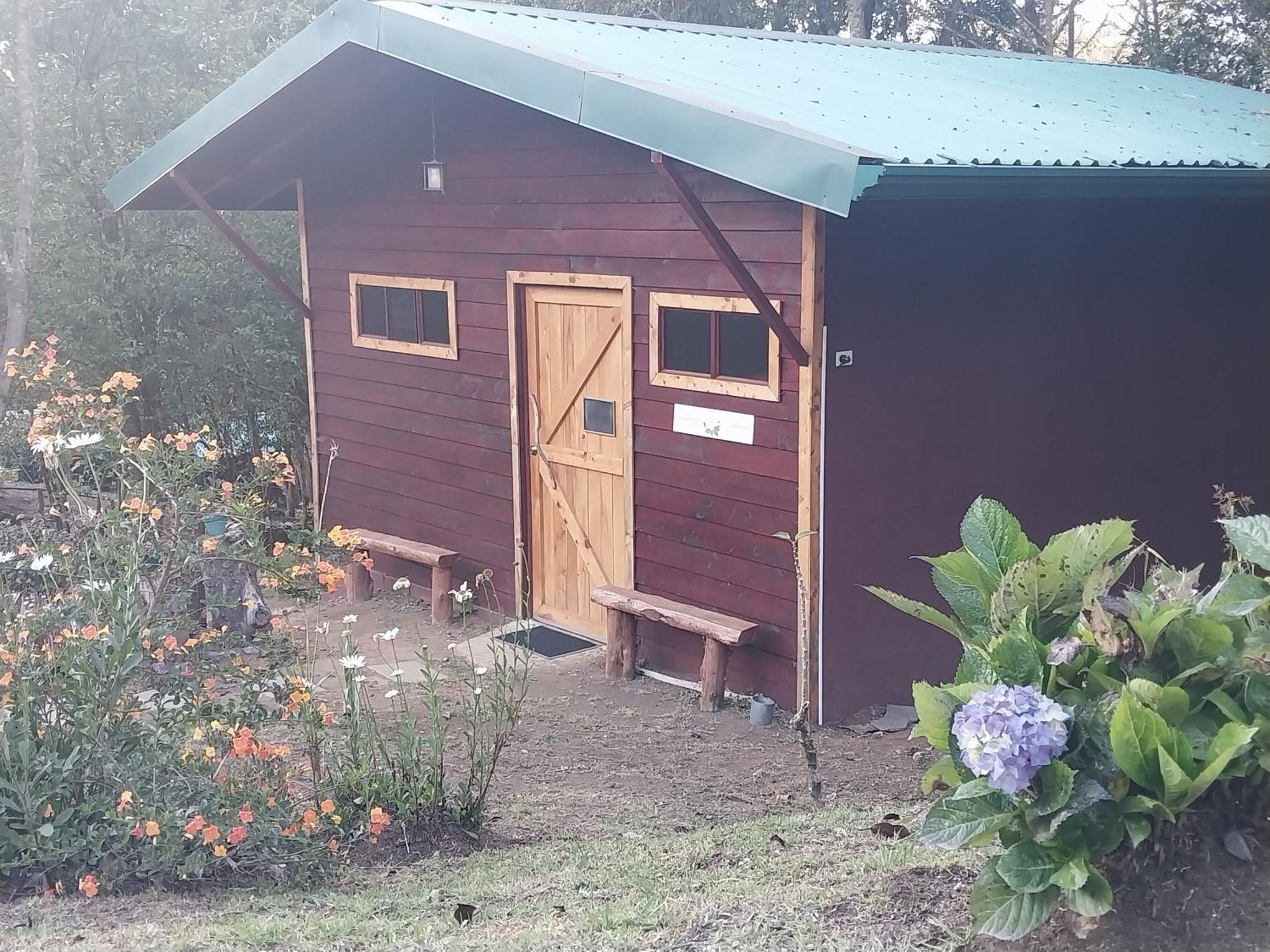 Curuba Lodge Copey Eksteriør billede
